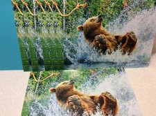 BIRTHDAY AVANTI GREETING CARDS New w/Envelopes LOT 6 "CANNONBALL"  SUPER SALE 