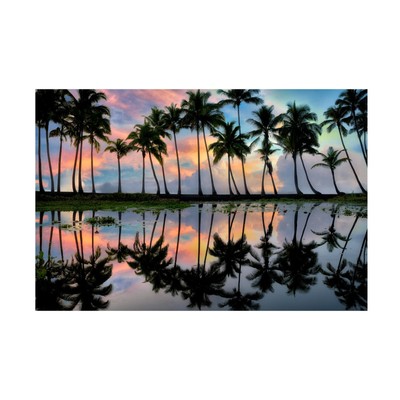 Dennis Frates 'Palm Trees 1' Canvas Art