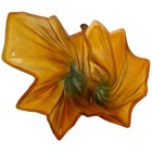 Bild 6 von 6