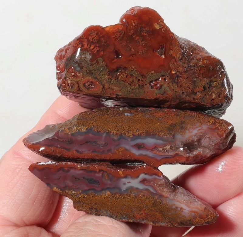 Woodward Ranch Plume 5.2 oz. Agate lapidary faced rough lot V6