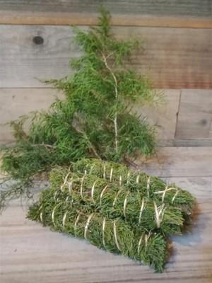 Wild Native Havested Organic Juniper Smudge Bundle - Set of 3