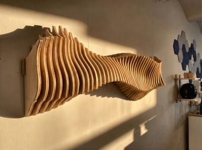Home décor acoustic minimalistic Parametric Modern plywood Wall Art 3D Anomaly