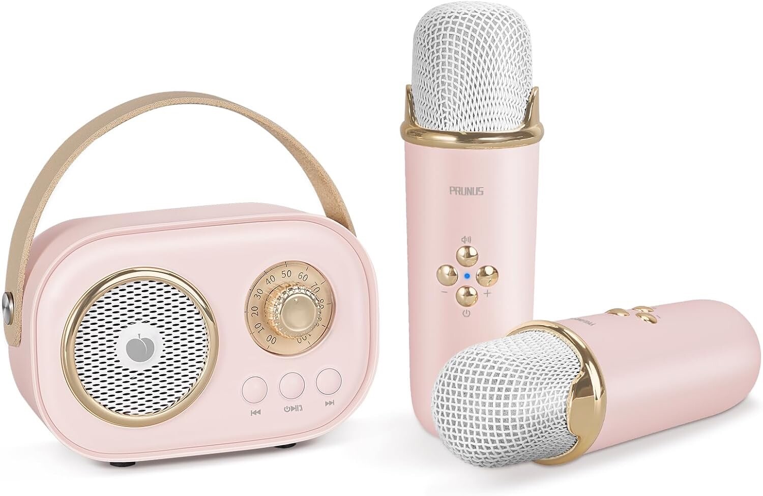 PRUNUS Karaoke Portatile Bluetooth 2 Microfoni Senza Fili Party Box