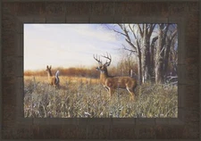 BREAKING COVER by Jim Hansel 11x15 Deer Buck Doe Whitetail FRAMED ART PICTURE