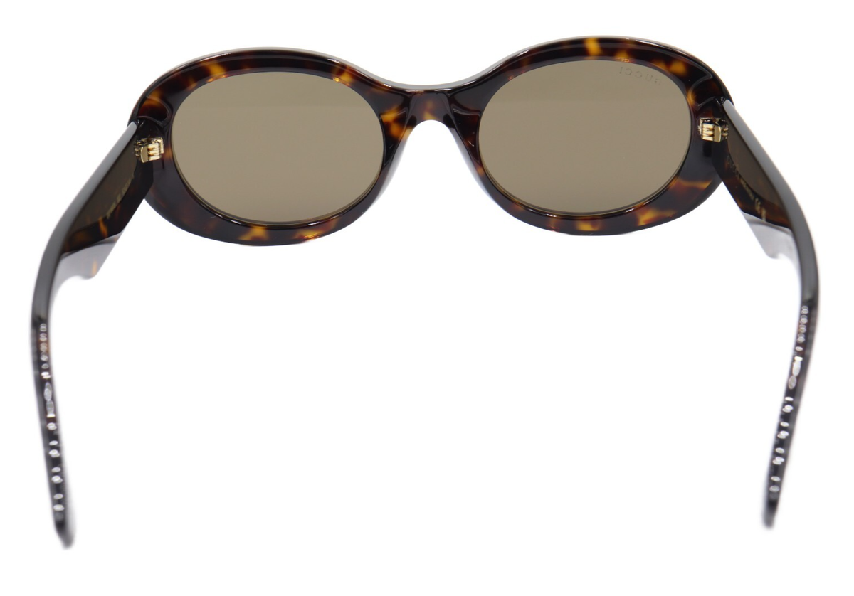 New Gucci Women Oval Polished Havana Brown Sunglasses GG1587S 002