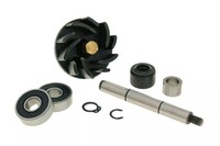 Reparatursatz Wasserpumpe Gilera Runner / Italjet Dragster 125-180Cc 2T