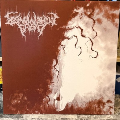 Dead In The Manger   Cessation LP Record 2017 20 Buck Spin Black Metal 33 RPM
