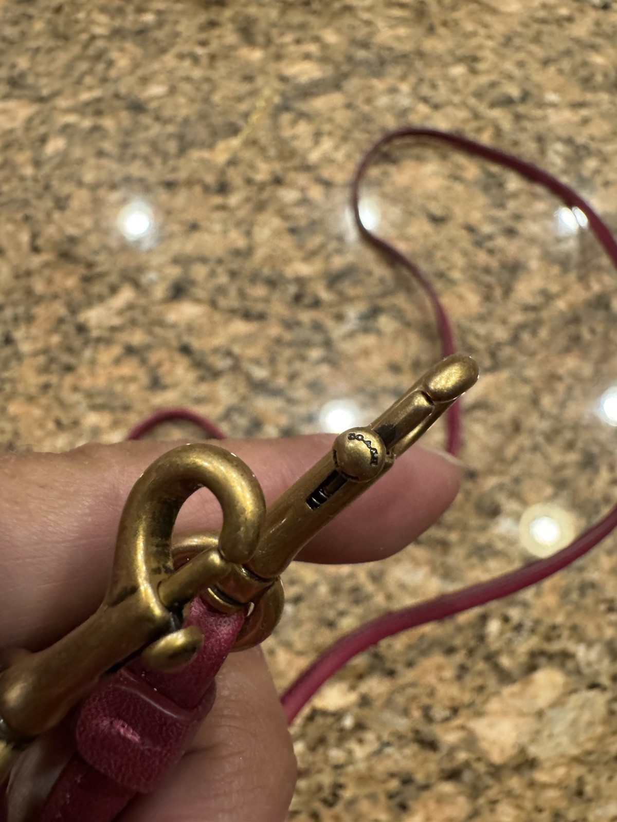 Coach Replacement Strap - image 2