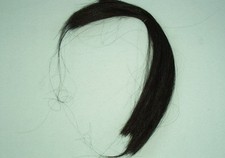 Horse Hair, Natural Black, 1 Ounce, 13-15 Inch