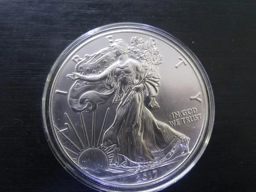 One 2017 American Silver Eagle Dollar Coin Uncirculated in Plastic Holder 31.3g