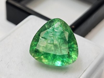Green Colombian Emerald Trillion Cut 7-9 Ct Natural Loose EGL Certified Gemstone