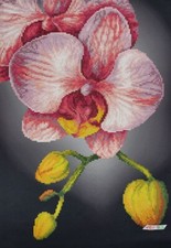 Bead Embroidery Kit Pink Orchid DIY Craft Kit Stamped Bead Needlepoint zpk-055