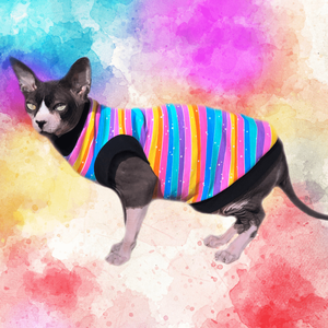 devon rex clothes