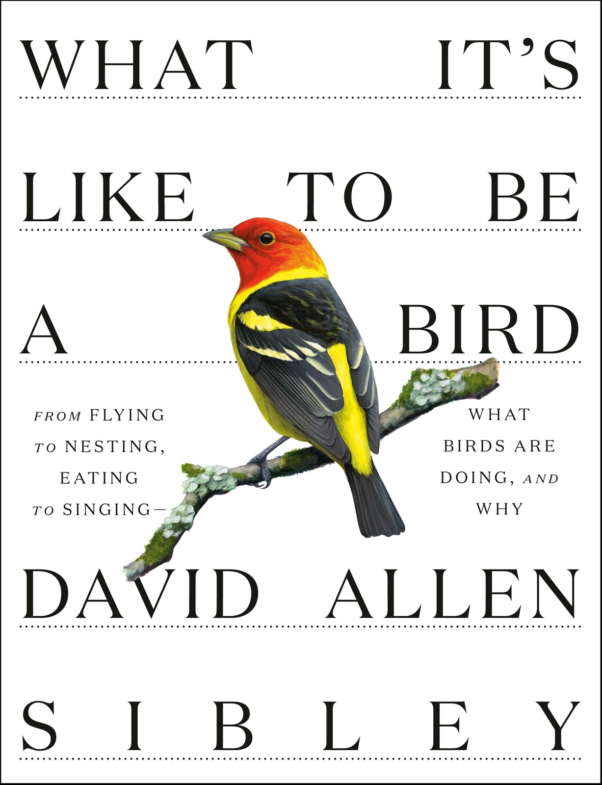 Thumbnail - What It's Like To Be A Bird David Allen Sibley 9780307957894