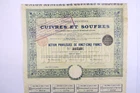 UNION MINING BRASS AND SULFUR ACTION OF 20 FRANCS BRUSSELS 1893 + COUPONS