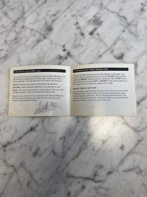 Disney Adventures in the Magic Kingdom for NES original Nintendo MANUAL ONLY MO9