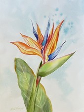 Bird Of Paradise Flower Original Watercolor Painting