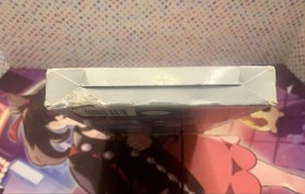 Fox's Peter Pan and the Pirates: The Revenge of Captain Hook Nes Cib