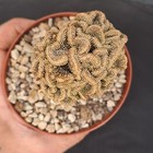 Foto 21 di 24