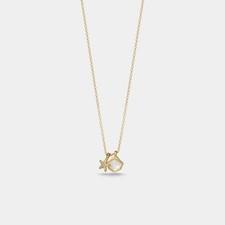 Collar colgante madreperla con dije de estrella de mar concha de mar en plata de ley 925