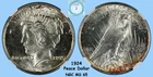 1924 Peace Dollar NGC MS 65 VAM 1AH1 - Champagne Hues with Orange Rust Edges