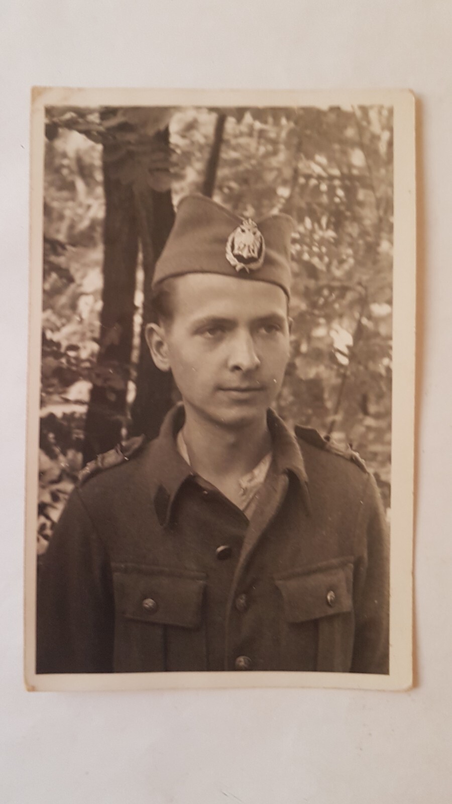 [Слика: s-l1600.jpg]