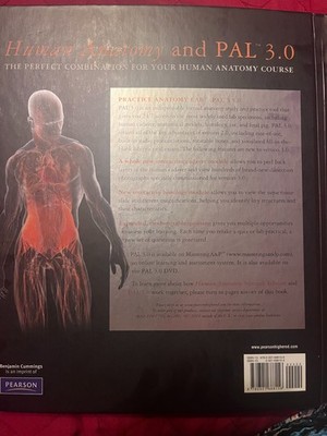 Human Anatomy (7th Edition) - Hardcover By Martini, Frederic H. - VERY GOOD