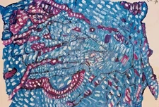 Sea Monsters Art By Nick Feurer Acrylic Painting Signed