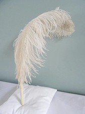 Vintage Single Feather Fan