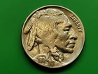 1934 Better Buffalo Nickel. Actual Coin. 20m Minted
