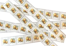 APPLES - 2016 - Packet of 10 1cent (1c) Postage Stamps - Scott #5037