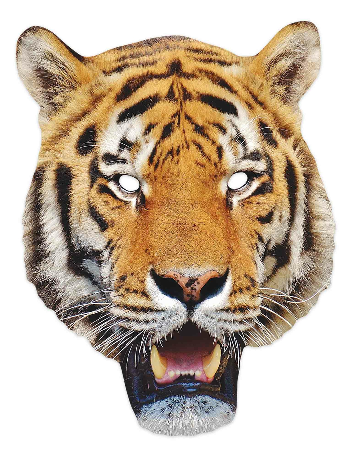 Tiger Animal 2D Single Card Party Mask - Safari Wildlife World Book Cat Jungle