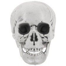 Halloween Skull Decorations Halloween Skull Candle Skull Home Decor Skull Head