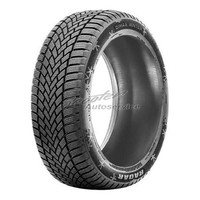 Radar Dimax Winter 3PMSF XL Winterreifen 255/35 R19 96W Id84139