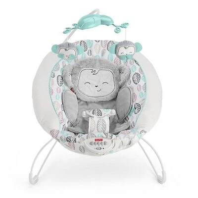 Fisher price deluxe cheap bouncer battery type