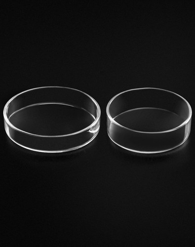 Elegante Confezione 5 Piatti Petri in Vetro 60mm con Coperchi Resistenza Alte Temperature - Foto 10 di 11