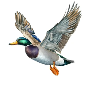 Duck Mallard Bird Self Adhesive Vinyl Sticker