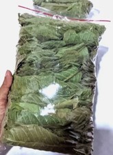 Dried Guava Leaves 75g Hojas de Guayaba Premium Organic Psidium Guajava