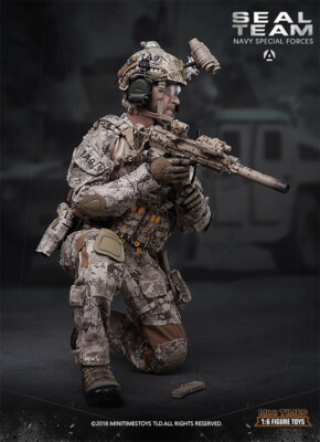MINI TIMES SEAL TEAM 1/6 フィギュア s-l400.jpg