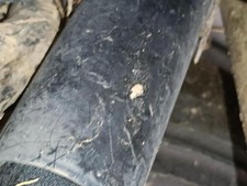 stoßdämpfer hinten rechts CITROEN C4 GRAND PICASSO II DA DE recrp2621056