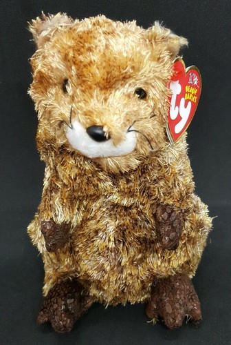 TY 2002 PUNXSUTAWN-E PHIL the GROUNDHOG 