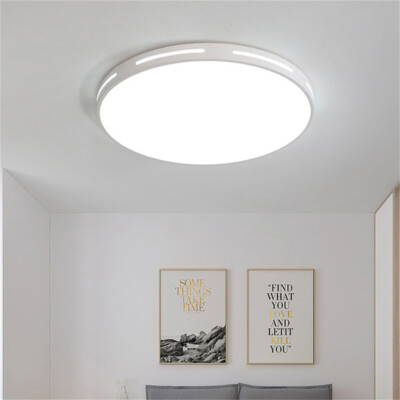 11.81'' Modern LED Ceiling Light Minimalist Round Panel Down Flush Mount Lights