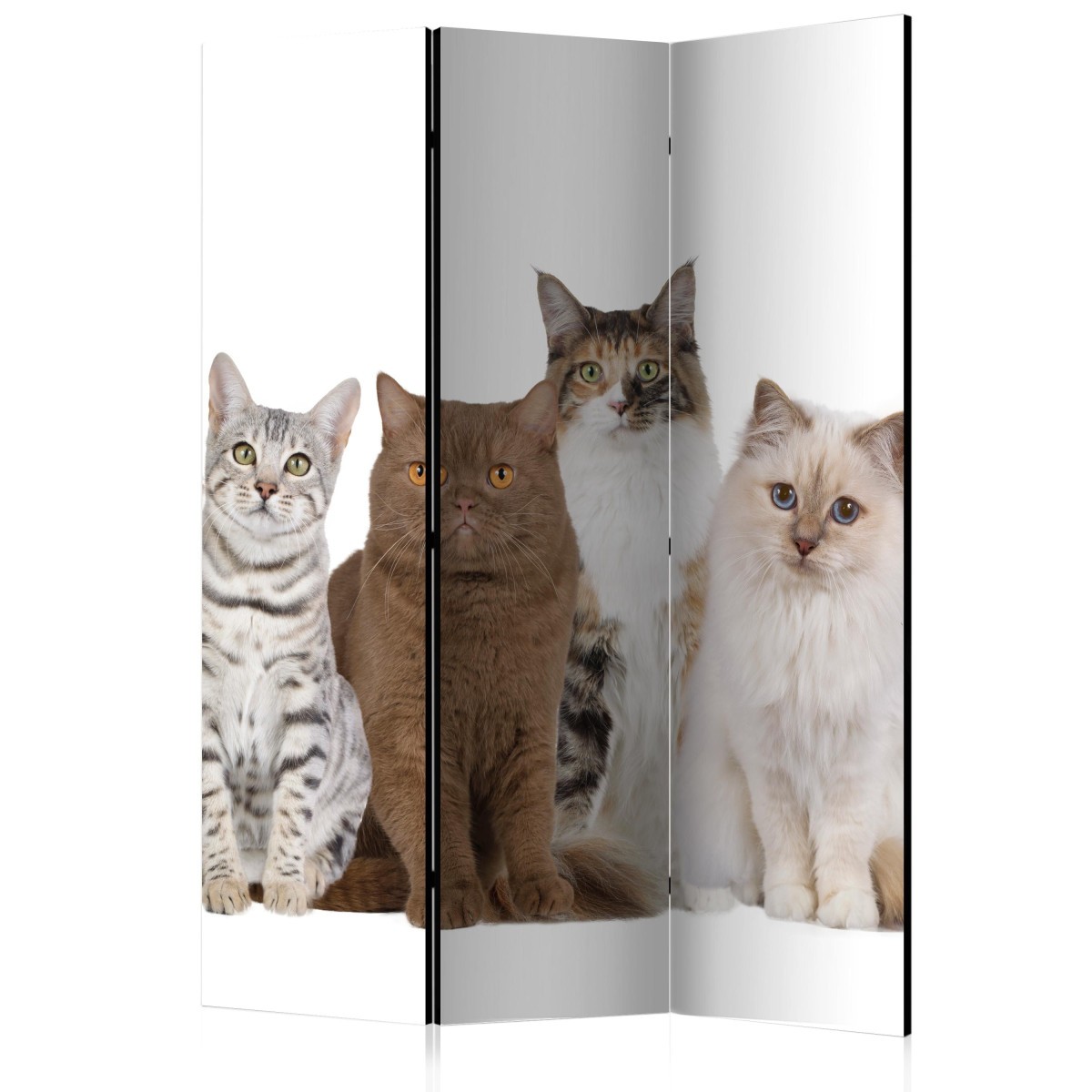 Paravent 3 volets Sweet Cats 135x172cm en toile imprimée chat