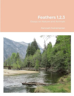 Ramnath Subramanian | Feathers 1,2,3 | Taschenbuch | Englisch (2021) | [.]