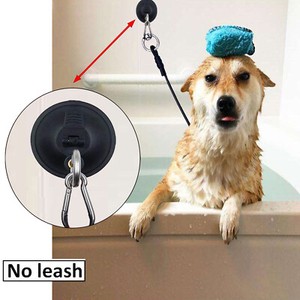 dog bathing tether