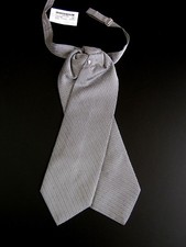 Luxury Brioni New Plastron Cravat Ceremony Silk