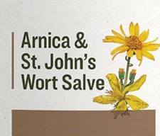 ARNICA & St. JOHN's WORT SKIN SALVE with Natural Beeswax Bumps Bruises Healing