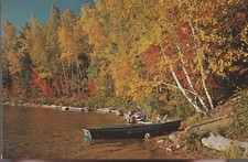 Vintage Postcard Autumn Clad In Gold Morning & Evening Whispers Michigan MI