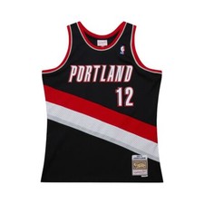 Portland Trail Blazers Lamarcus Aldridge Mitchell & Ness 2006/07 Swingman Jersey