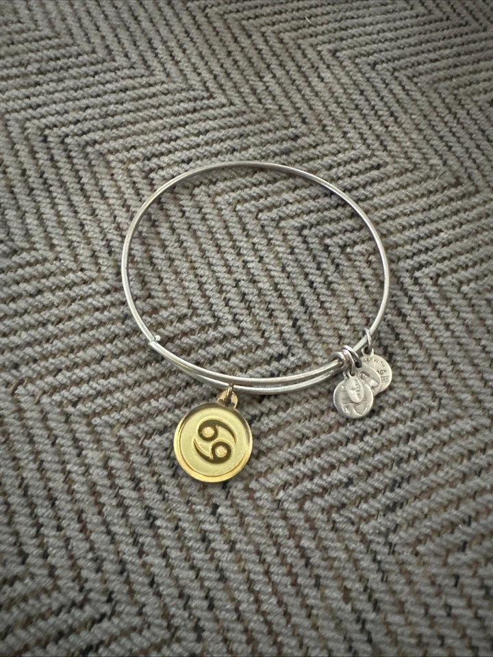 RARO ALEX y ANI CÁNCER HORÓSCOPO Esmalte Resina EPOXI ENCANTO PULSERA Foto 2 de 3